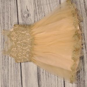 Girl's Fancy Dress with Gold Leaf Embroidery